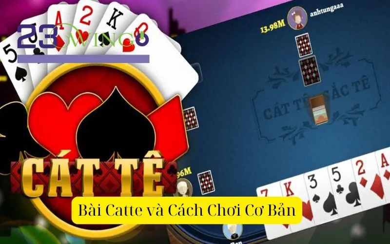 Bài Catte và Cách Chơi Cơ Bản