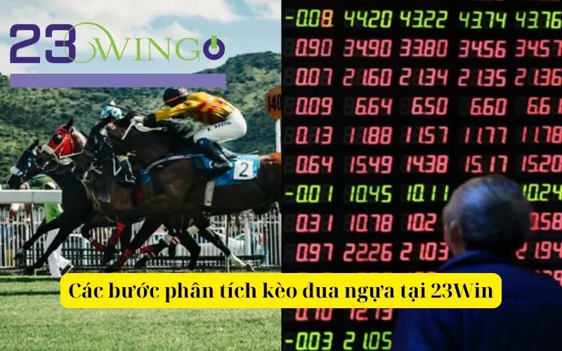 Các bước phân tích kèo đua ngựa tại 23Win