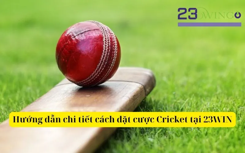 Hướng dẫn chi tiết cách đặt cược Cricket tại 23WIN