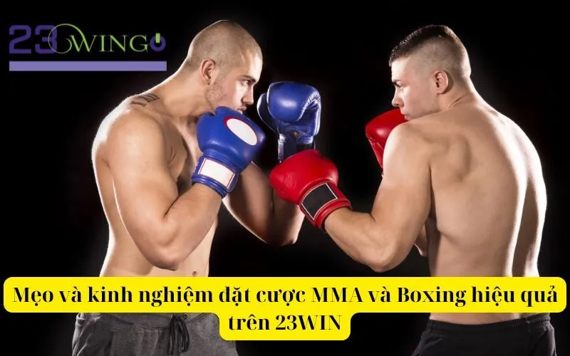 Mẹo và kinh nghiệm đặt cược MMA và Boxing hiệu quả trên 23WIN