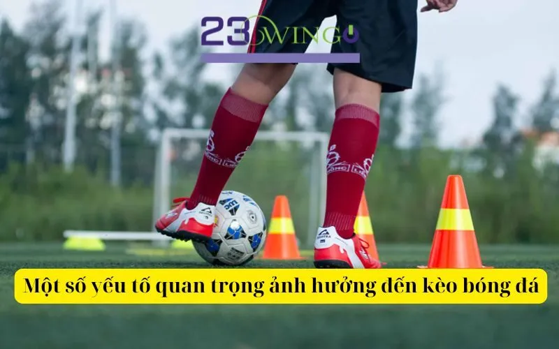 Một số yếu tố quan trọng ảnh hưởng đến kèo bóng đá